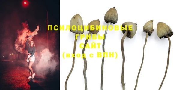 МДМА Медвежьегорск