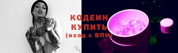 СК Слюдянка