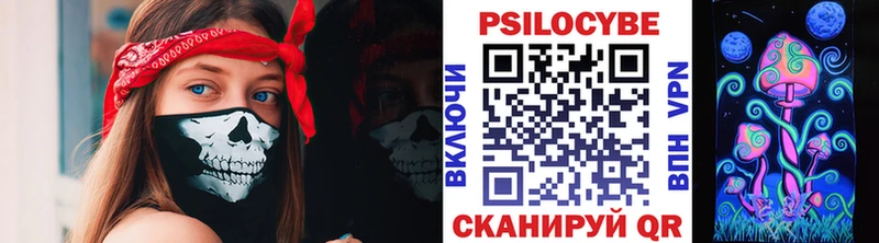 Псилоцибиновые грибы мицелий  блэк спрут tor  Тимашёвск 