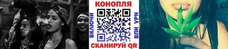 купить наркоту  Тимашёвск  Бошки Шишки White Widow 